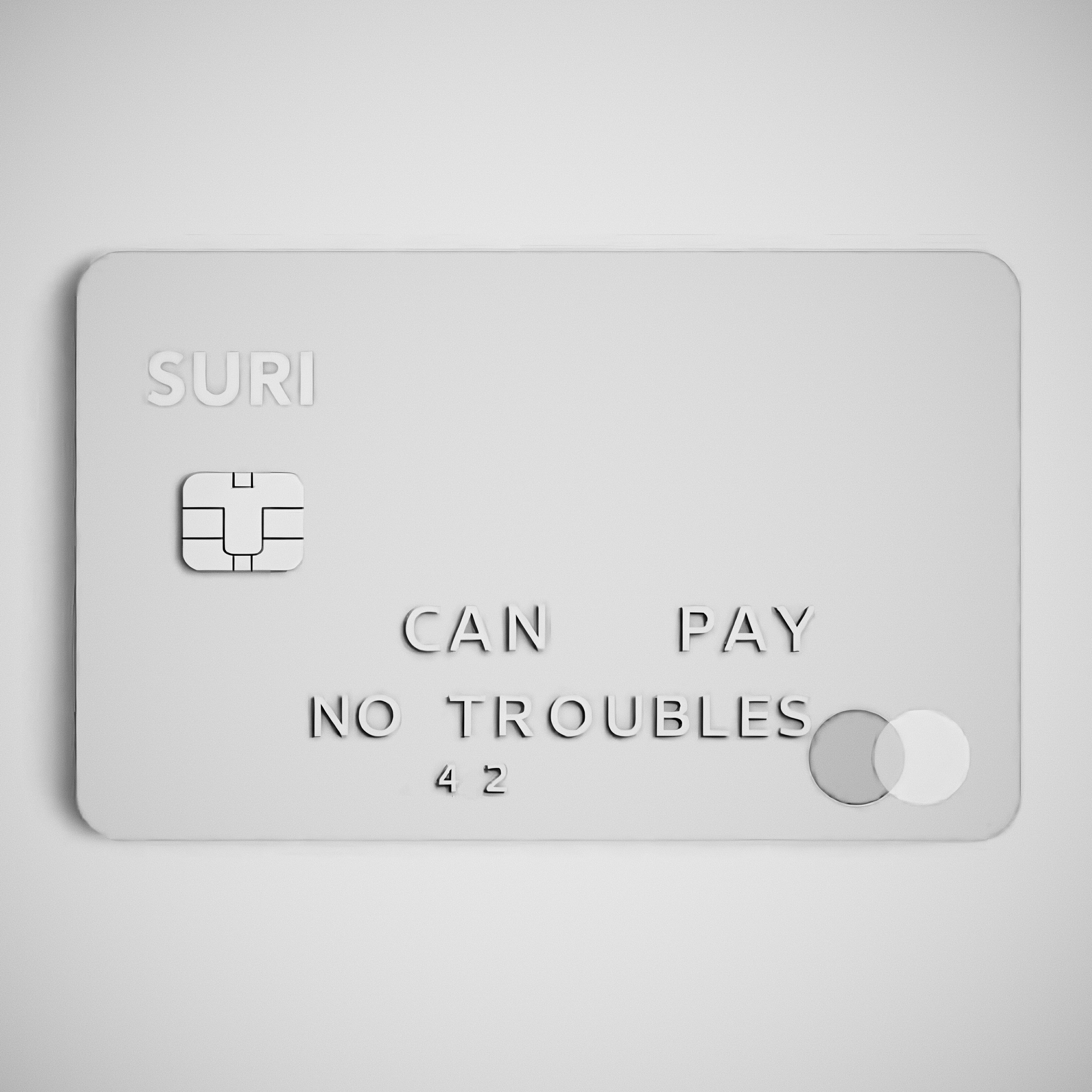 Релиз CAN PAY