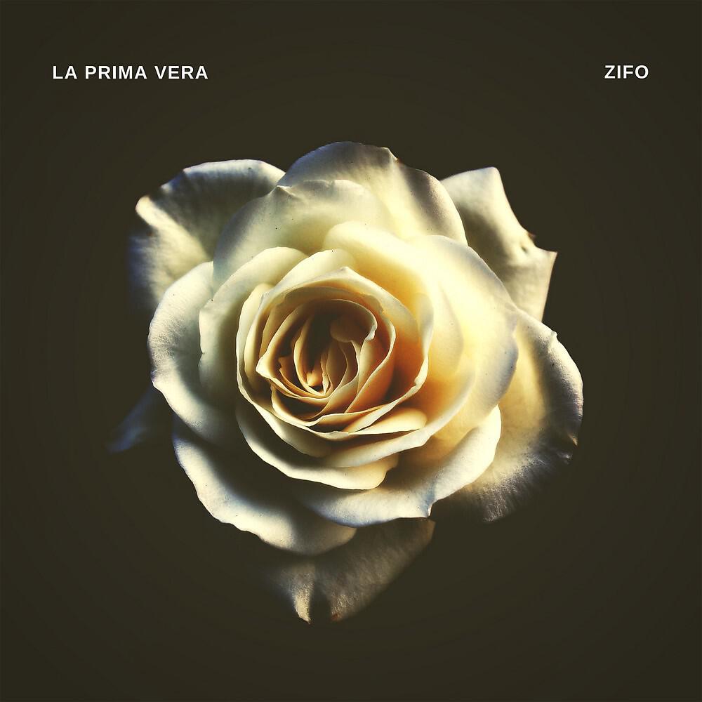 ZiFo - La prima vera