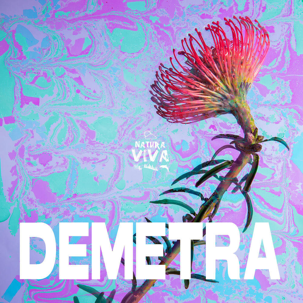 Релиз Demetra