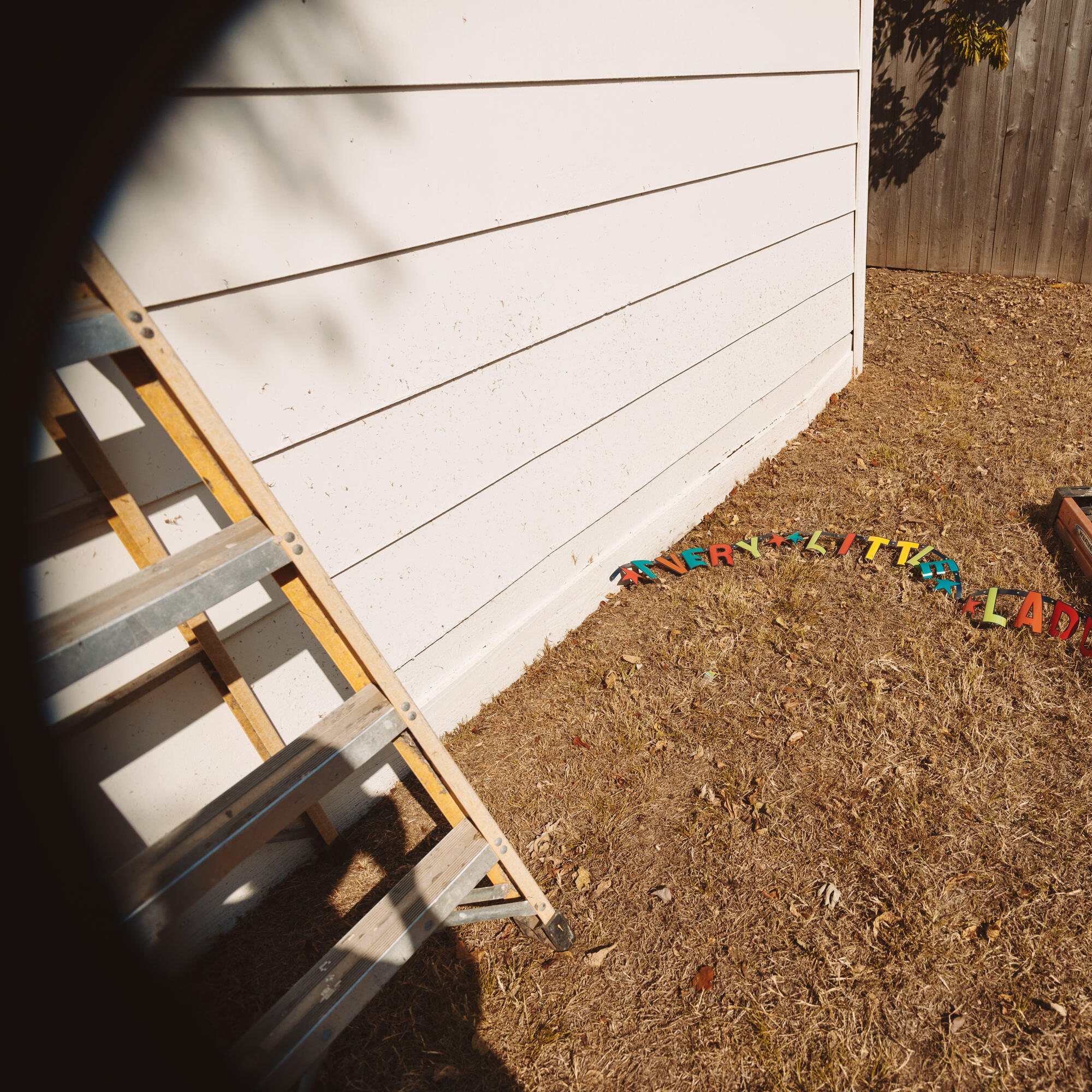 Релиз Every Little Ladder