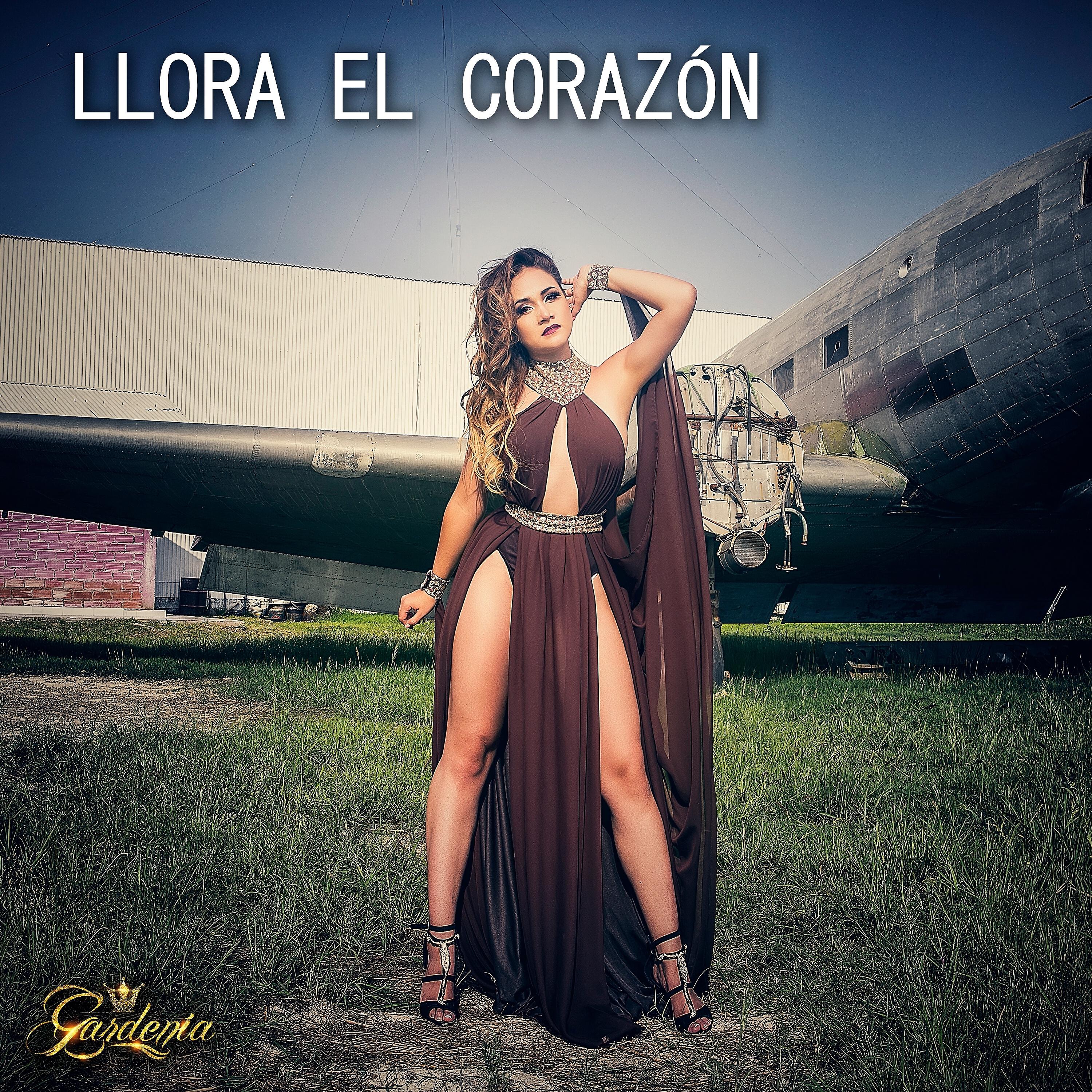 Релиз Llora el Corazón