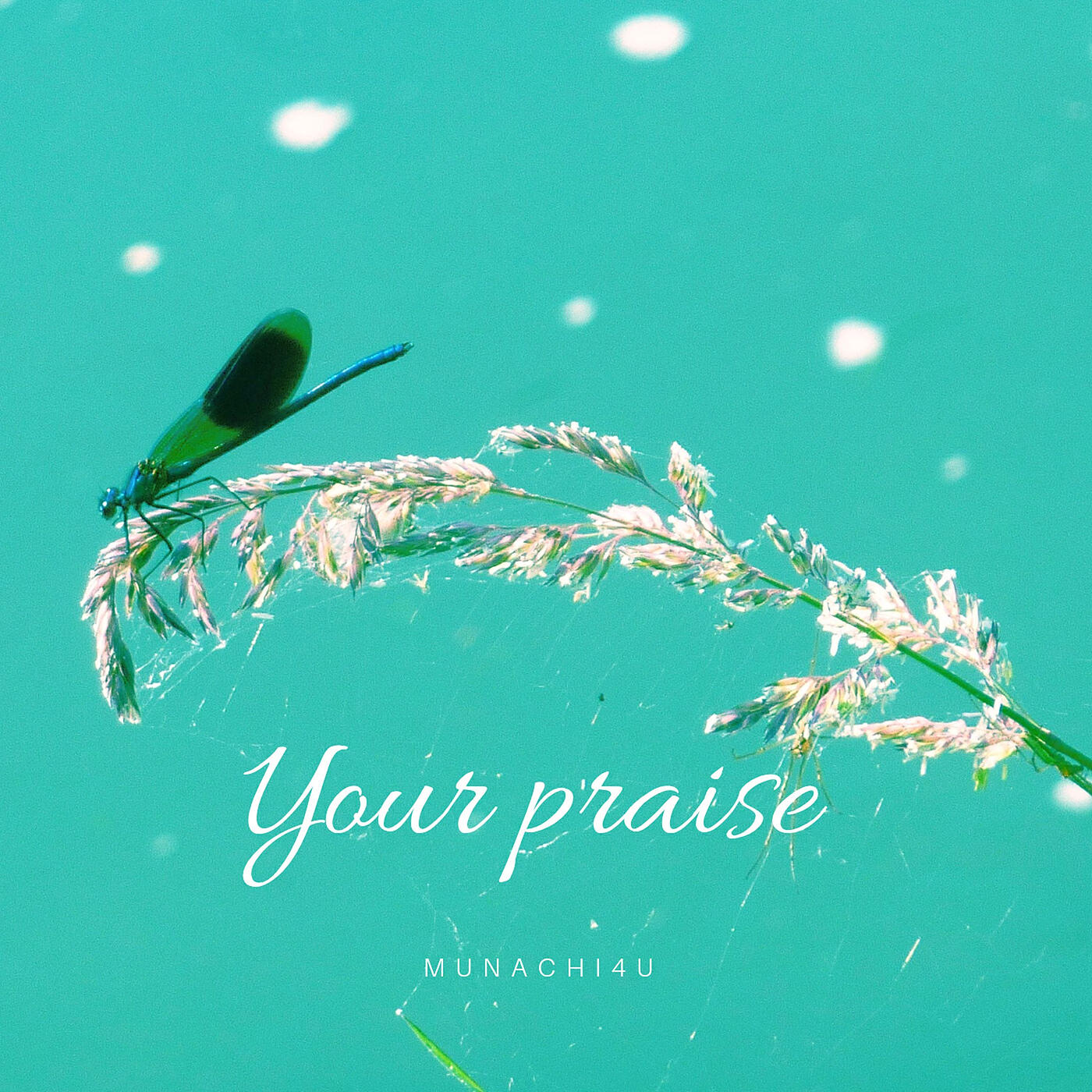 Релиз Your Praise