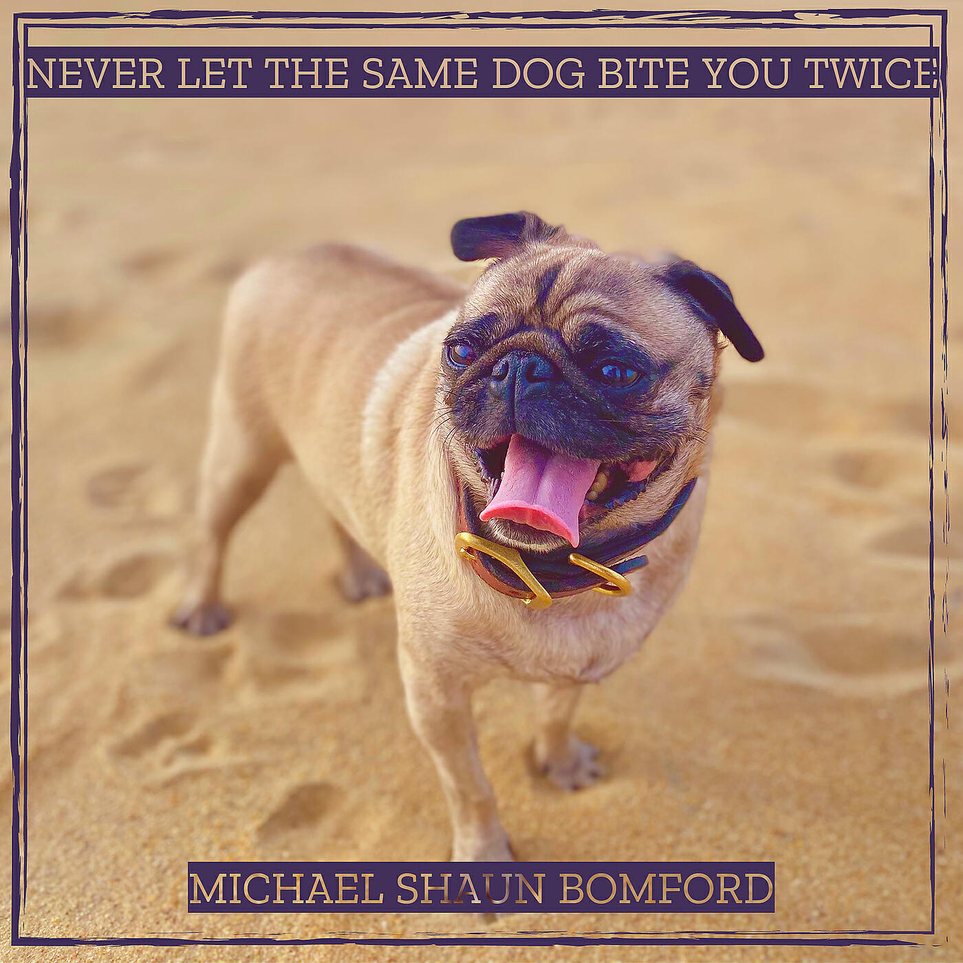 Релиз Never Let the Same Dog Bite You Twice