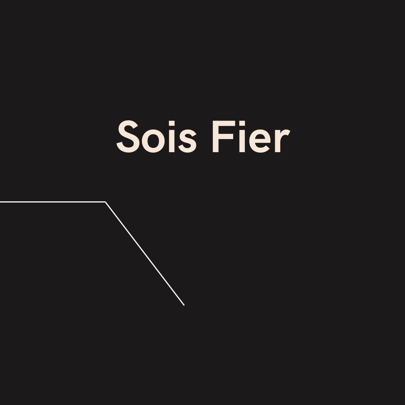 Релиз Sois Fier