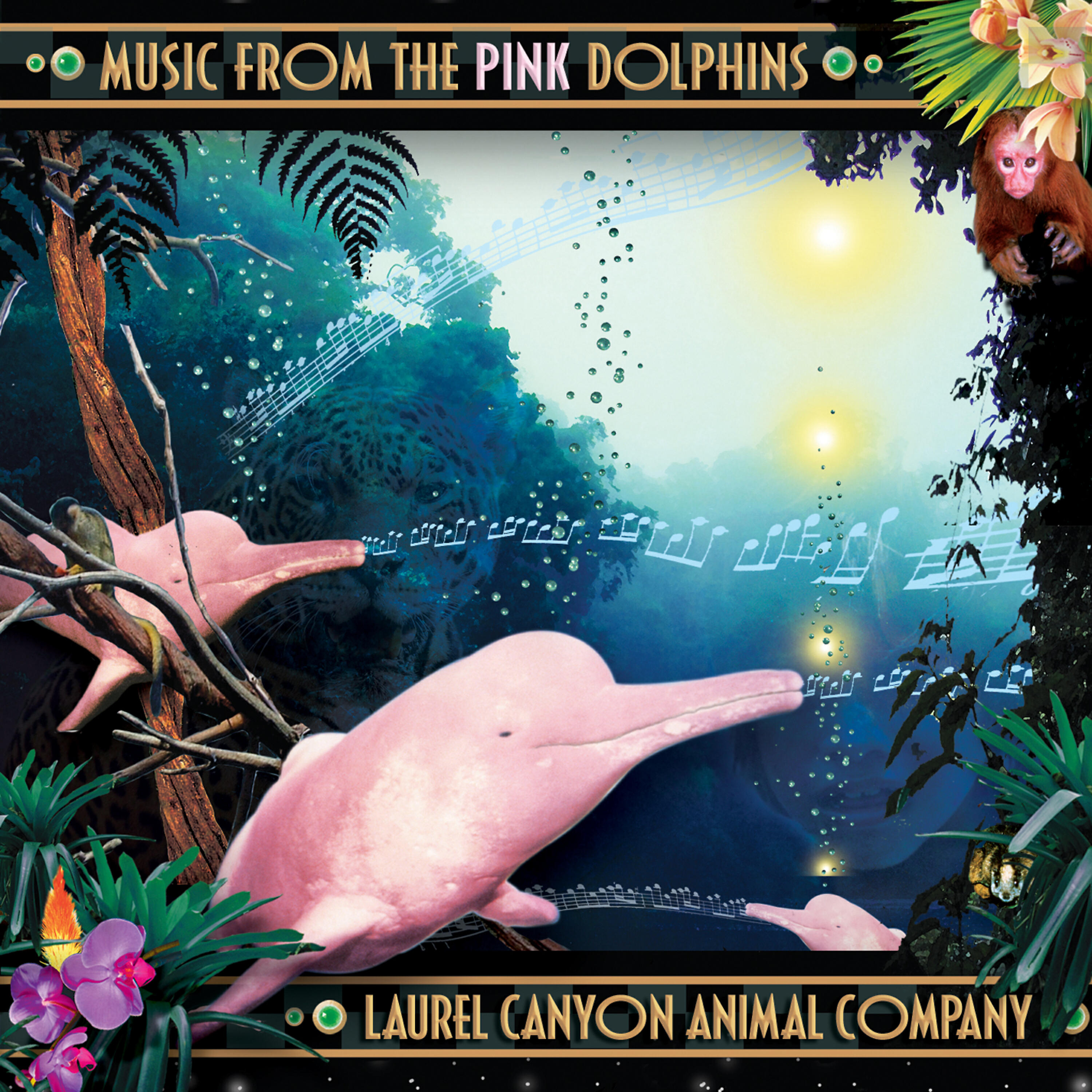 Релиз Music from the Pink Dolphins