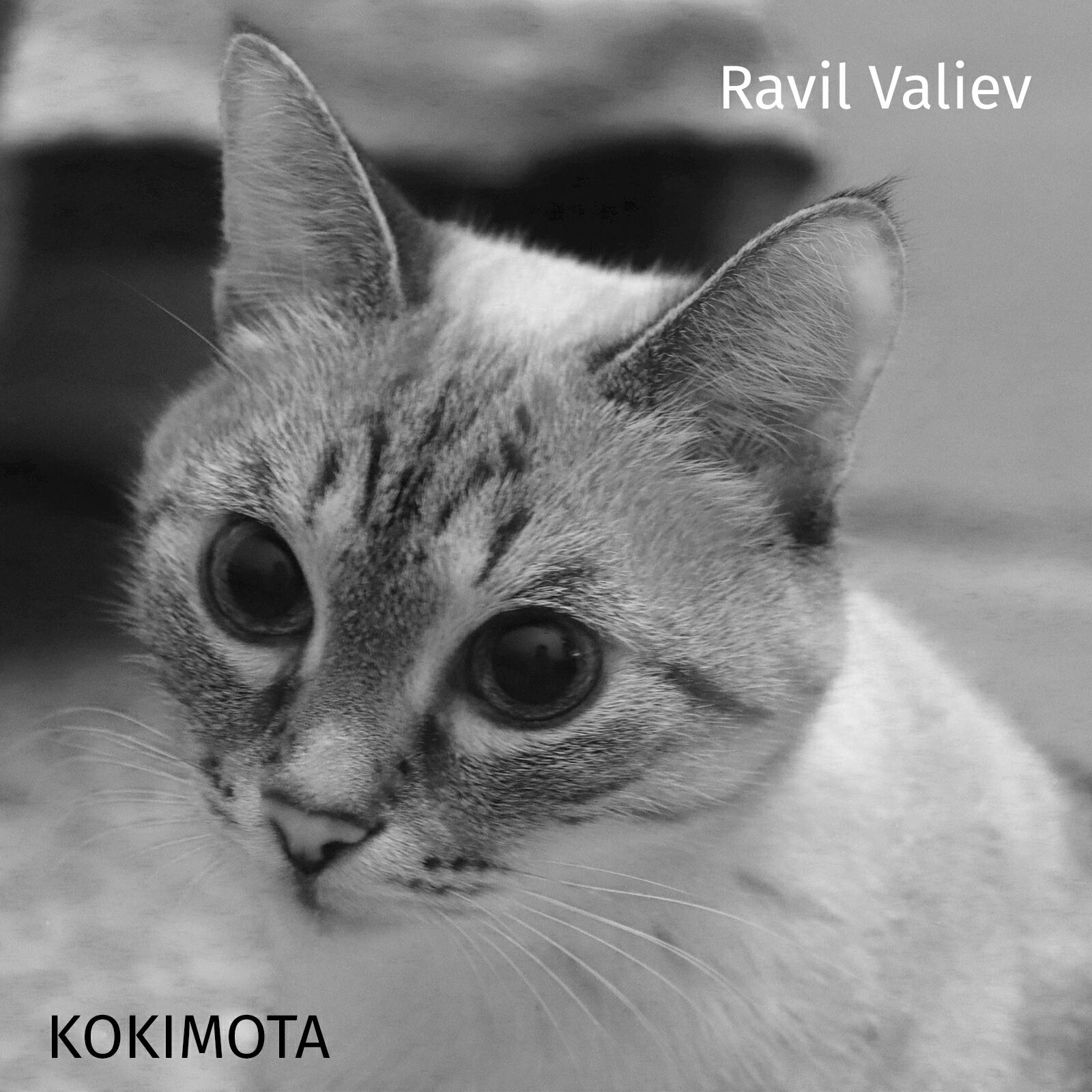 Релиз Kokimota