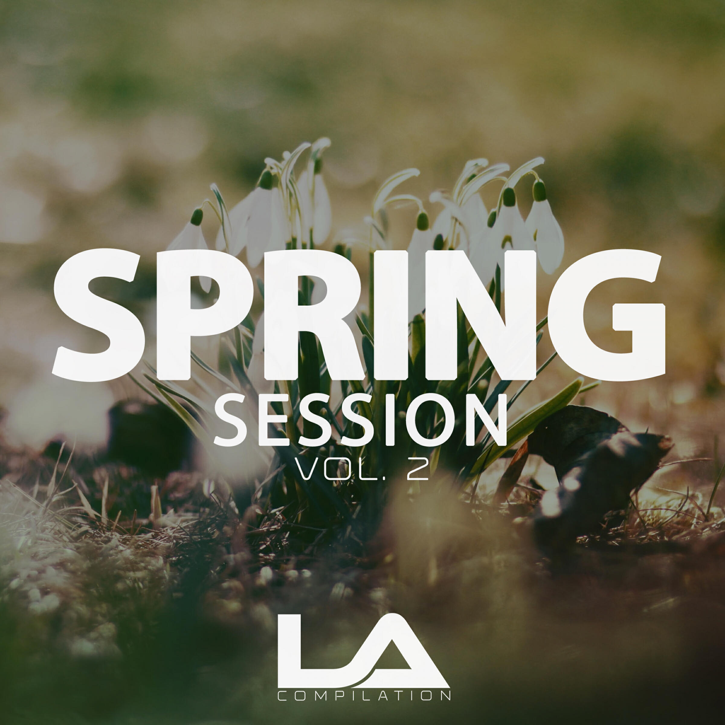 Релиз Spring Session, Vol. 2