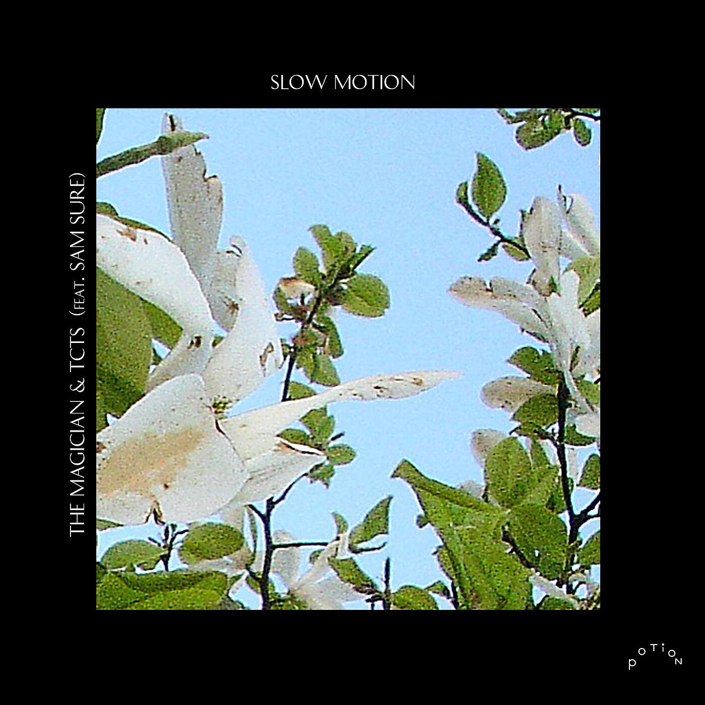Релиз Slow Motion (feat. Sam Sure)