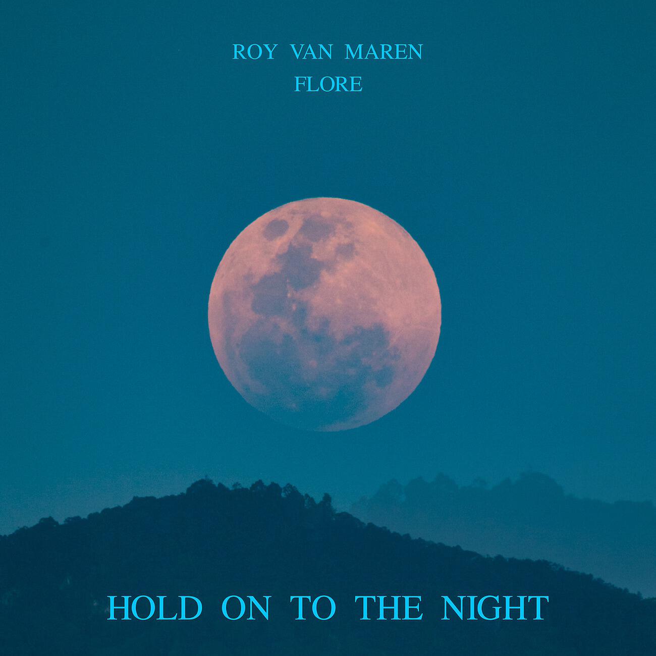 Постер альбома Hold On To The Night