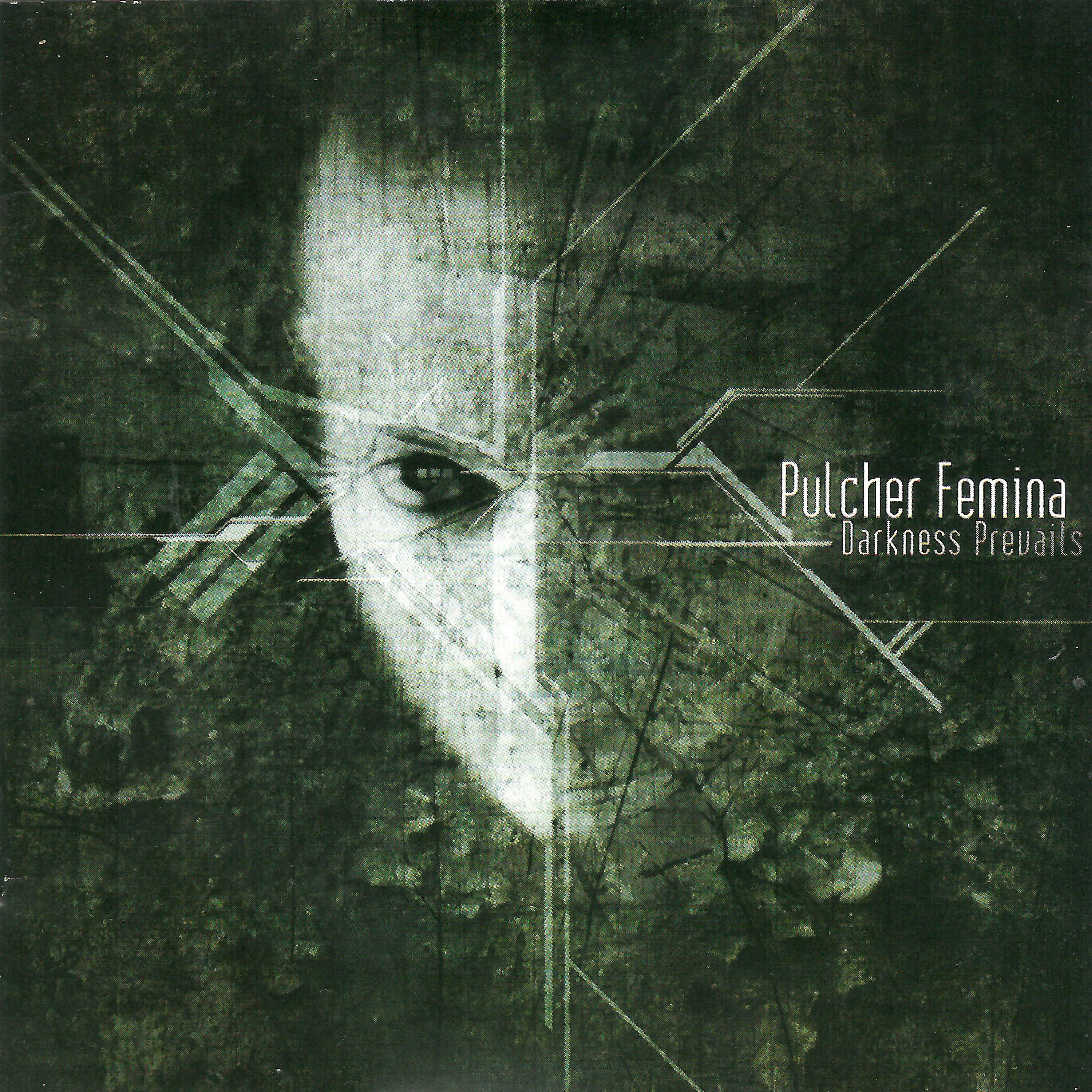 Постер альбома Darkness Prevails