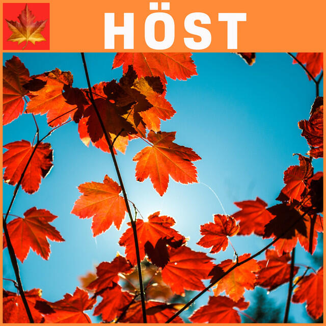 Релиз HÖST