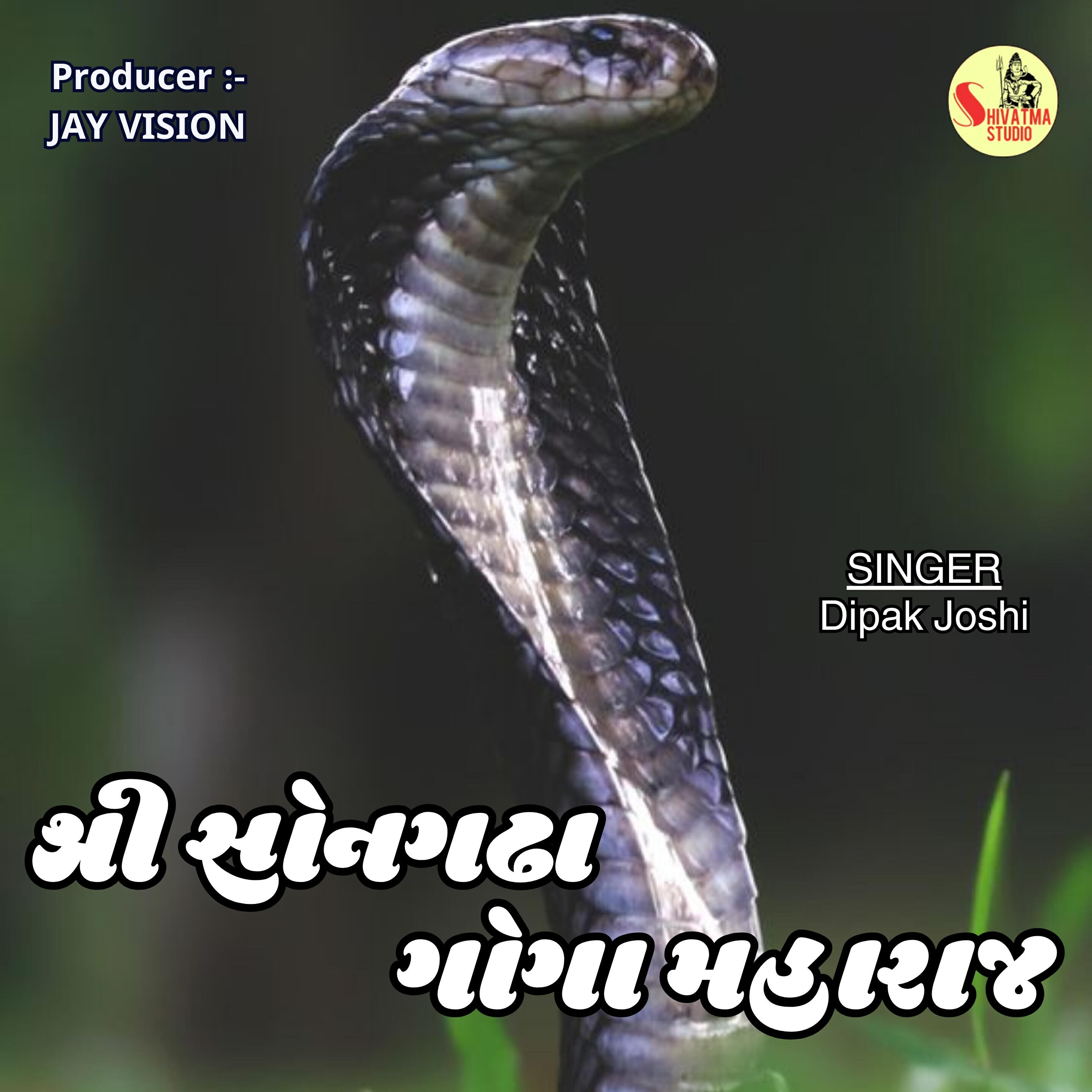 Релиз Shri Songhdha Goga Maharaj