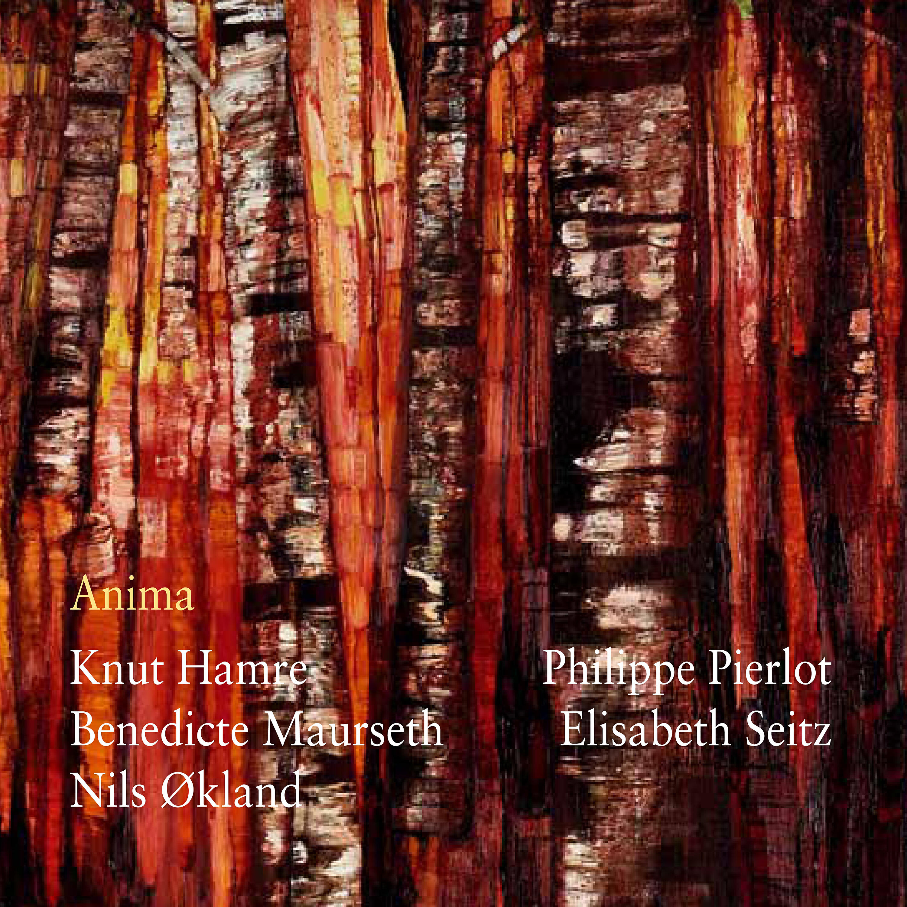Релиз Anima