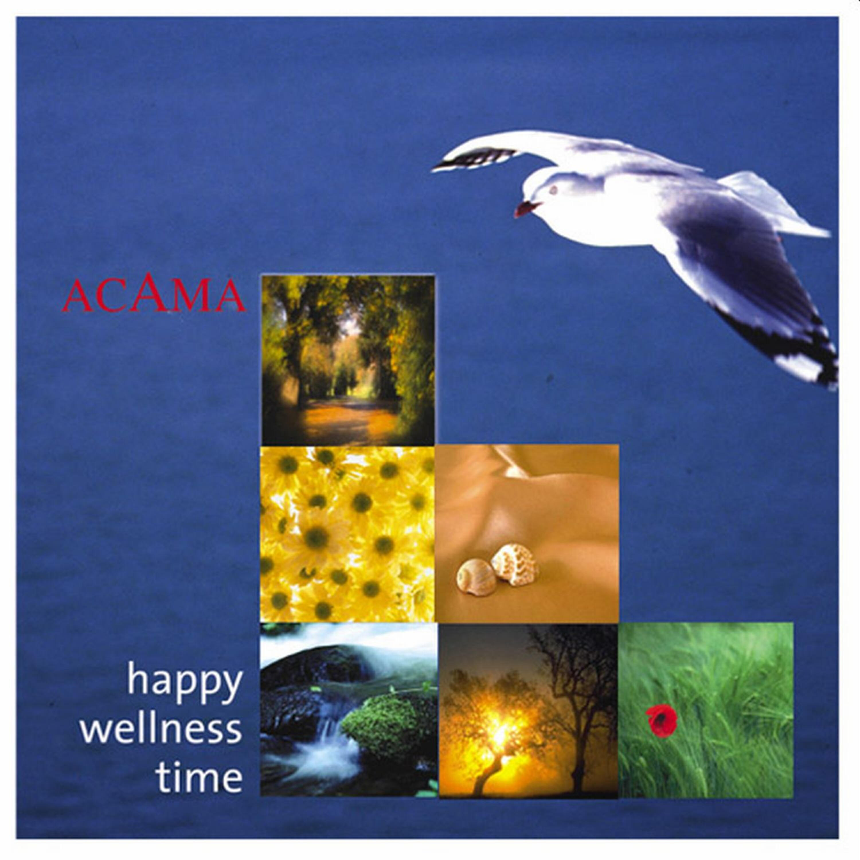 Релиз Happy Wellnesstime
