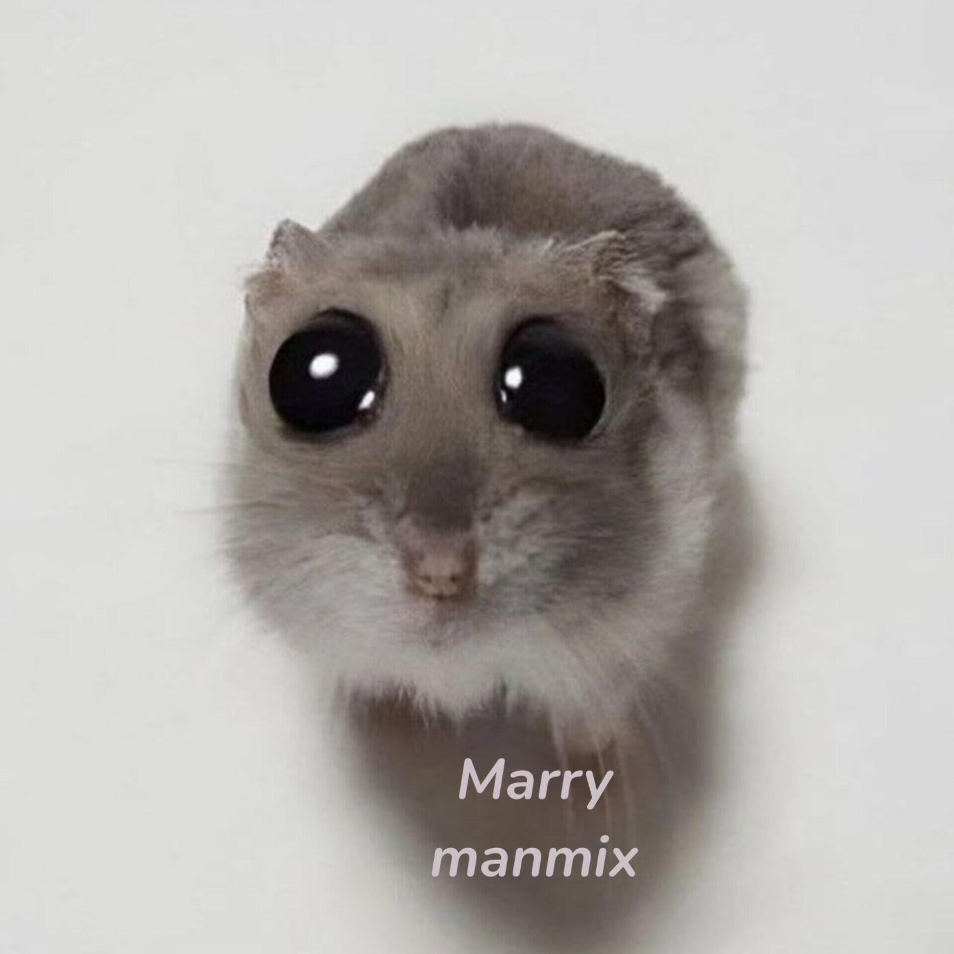 Релиз Marry