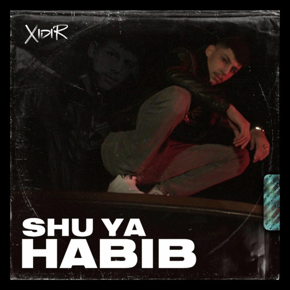 Релиз Shu Ya Habib