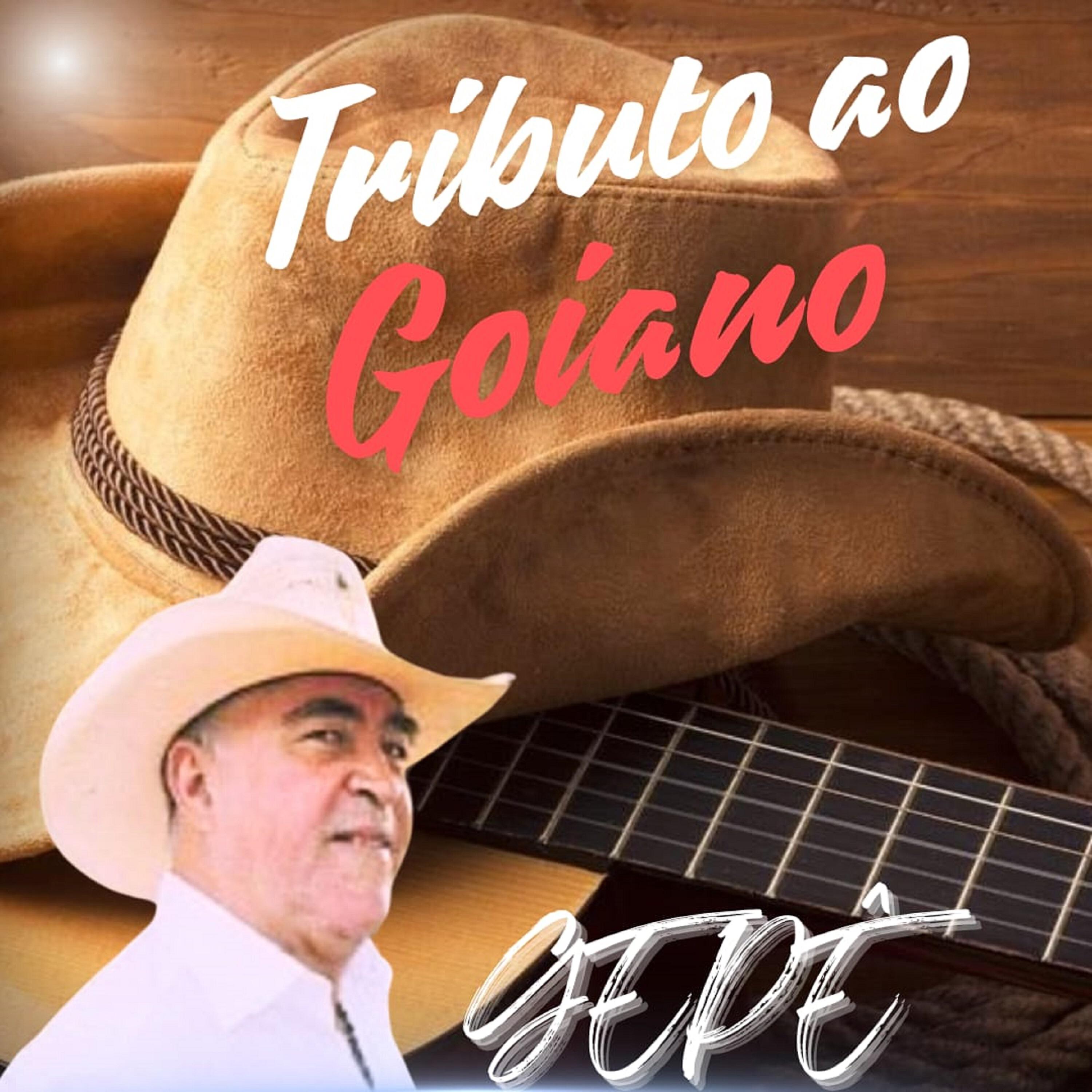 Релиз Tributo ao Goiano