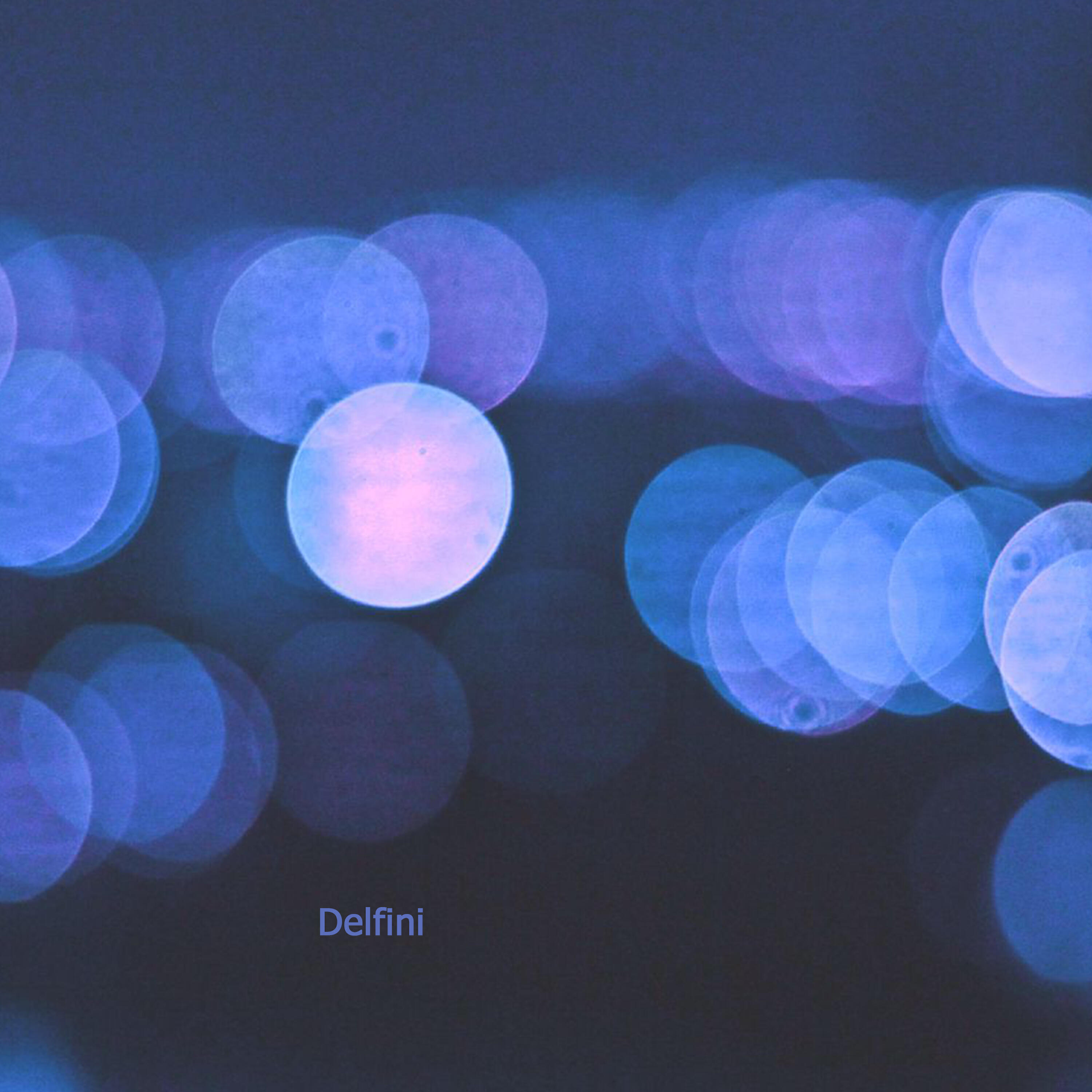 Постер альбома Delfini