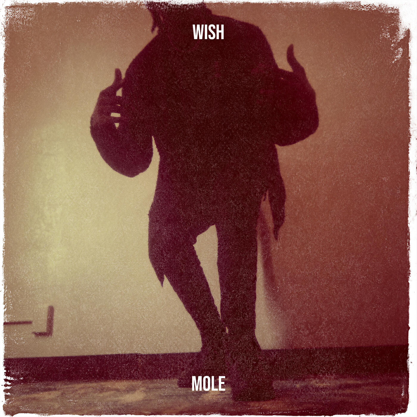 Релиз Wish