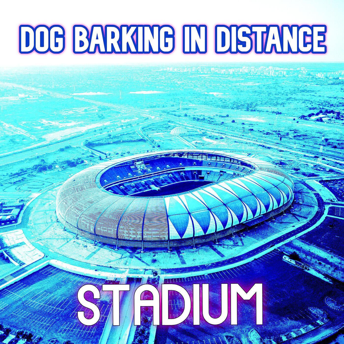 Релиз Stadium