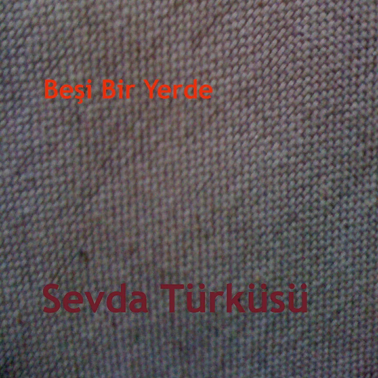 Постер альбома Sevda Türküsü