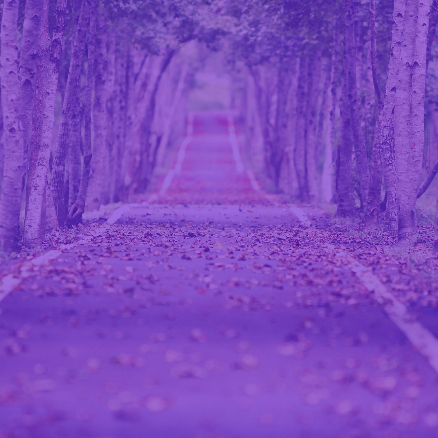 Релиз Duduk Solo (Music for Inner Peace)