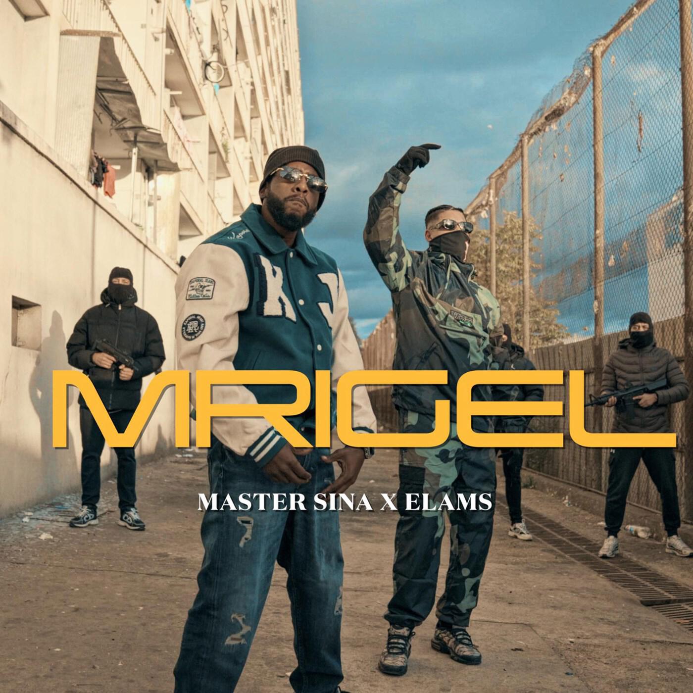 Релиз Mrigel