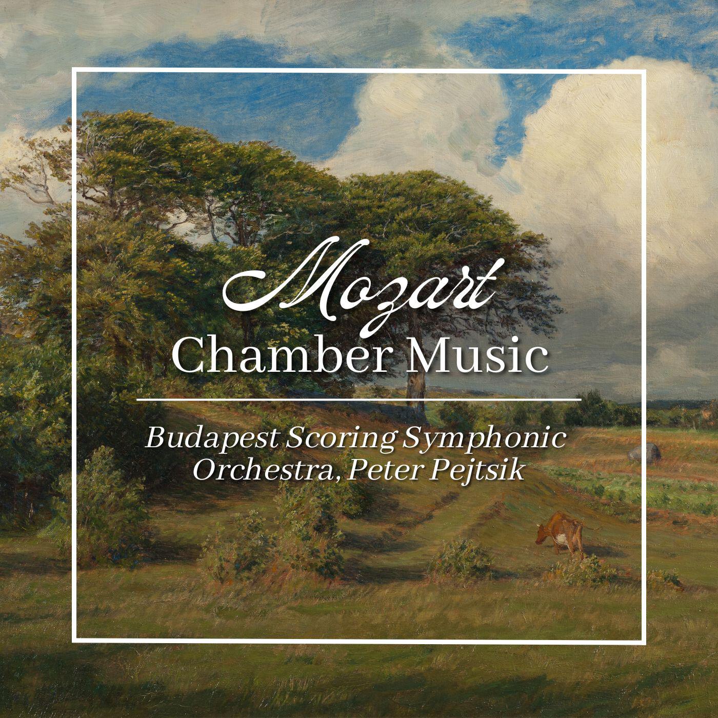 Релиз Mozart: Chamber Music