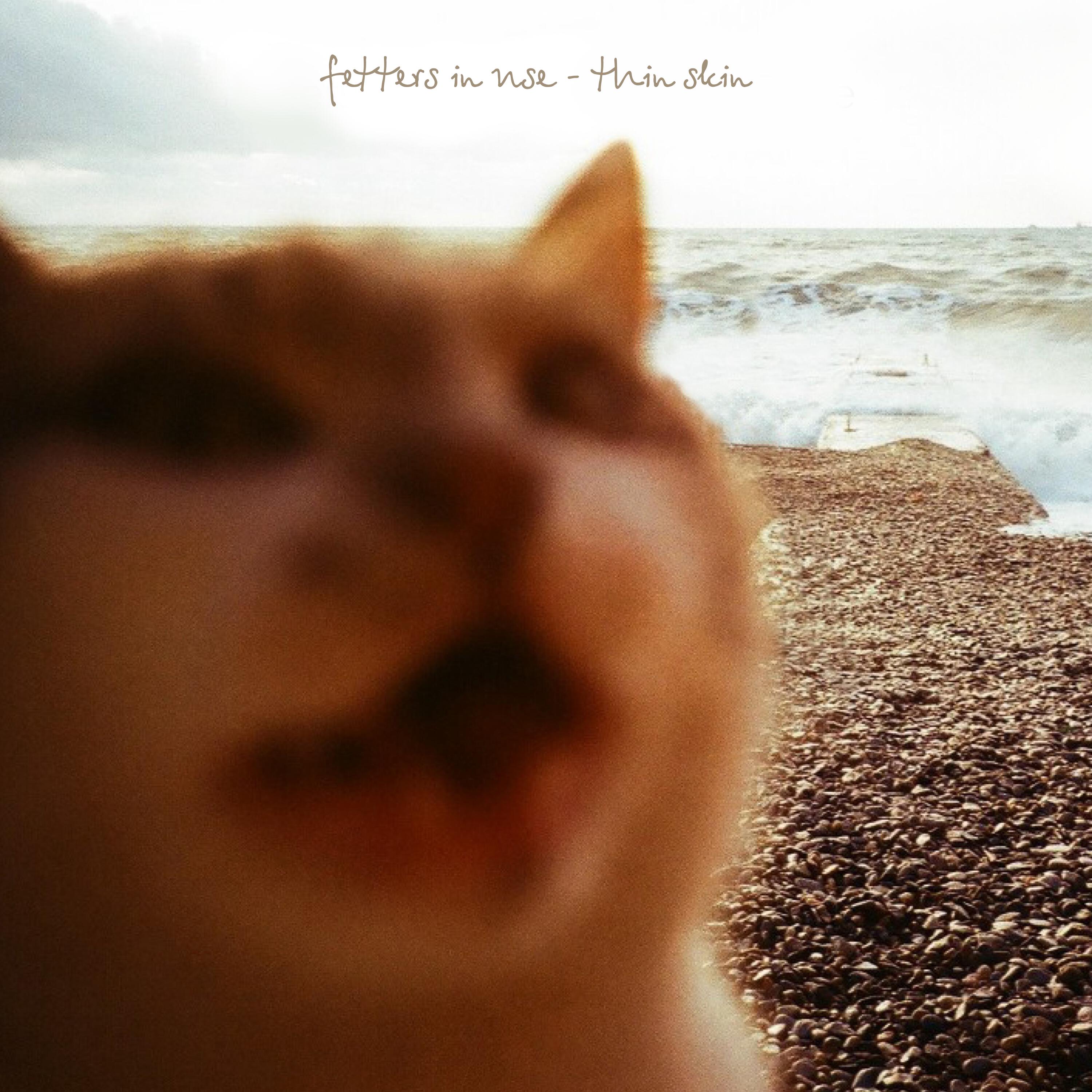 Релиз Thin Skin
