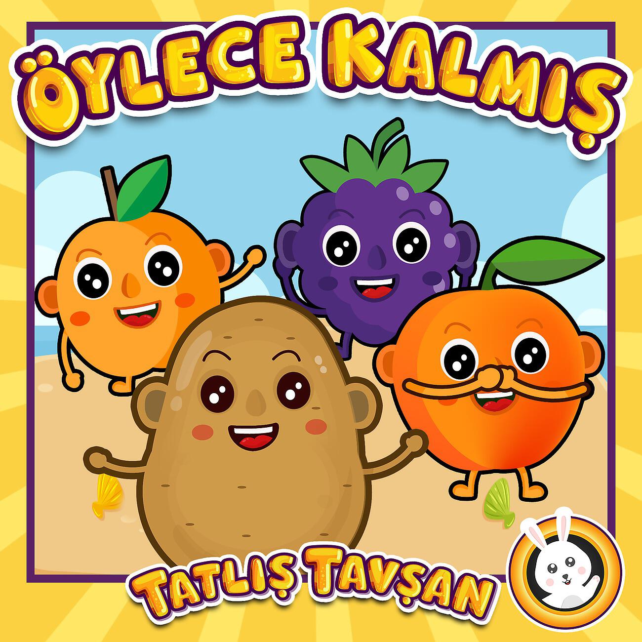 Постер альбома Öylece Kalmış