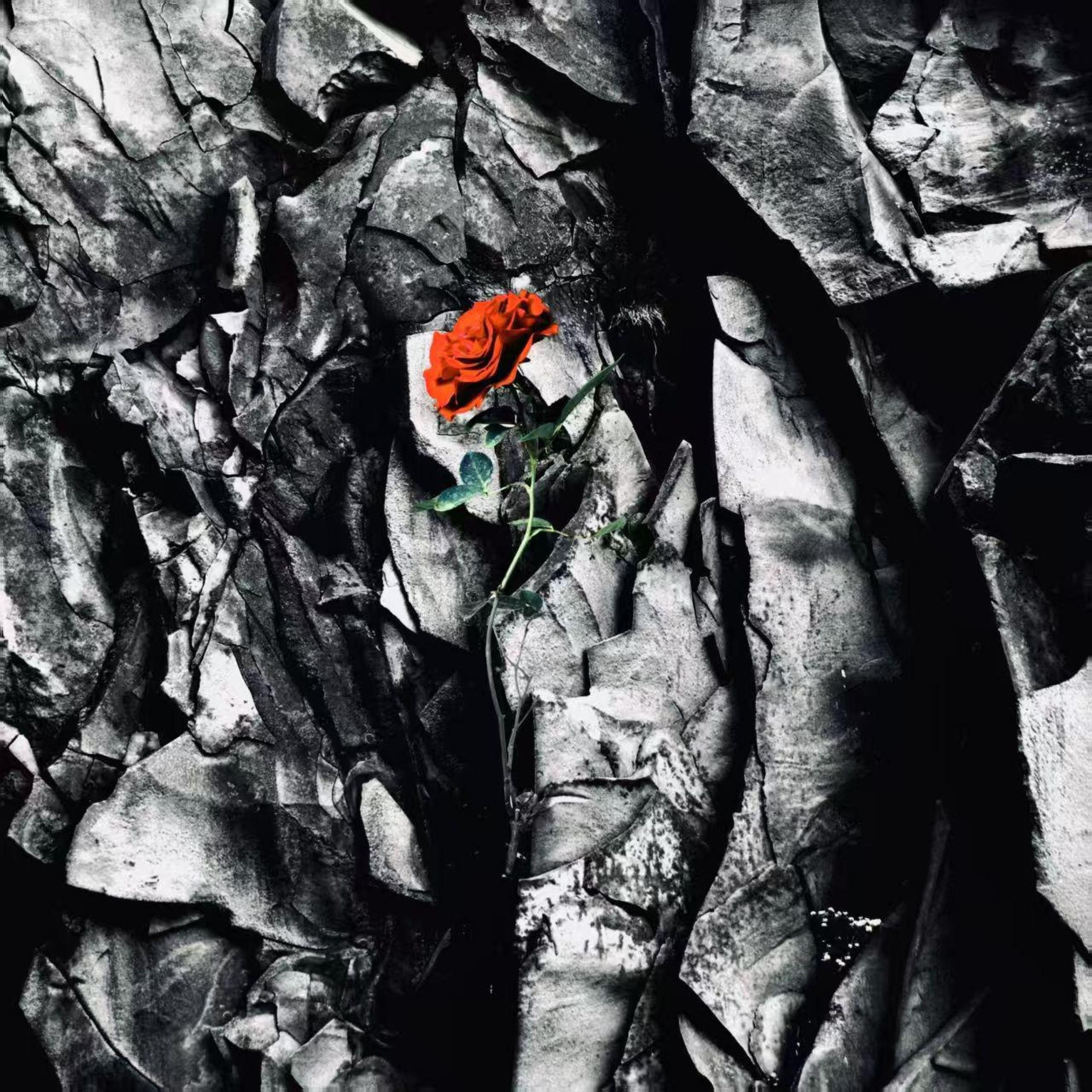 Релиз Tomorrow Never Comes