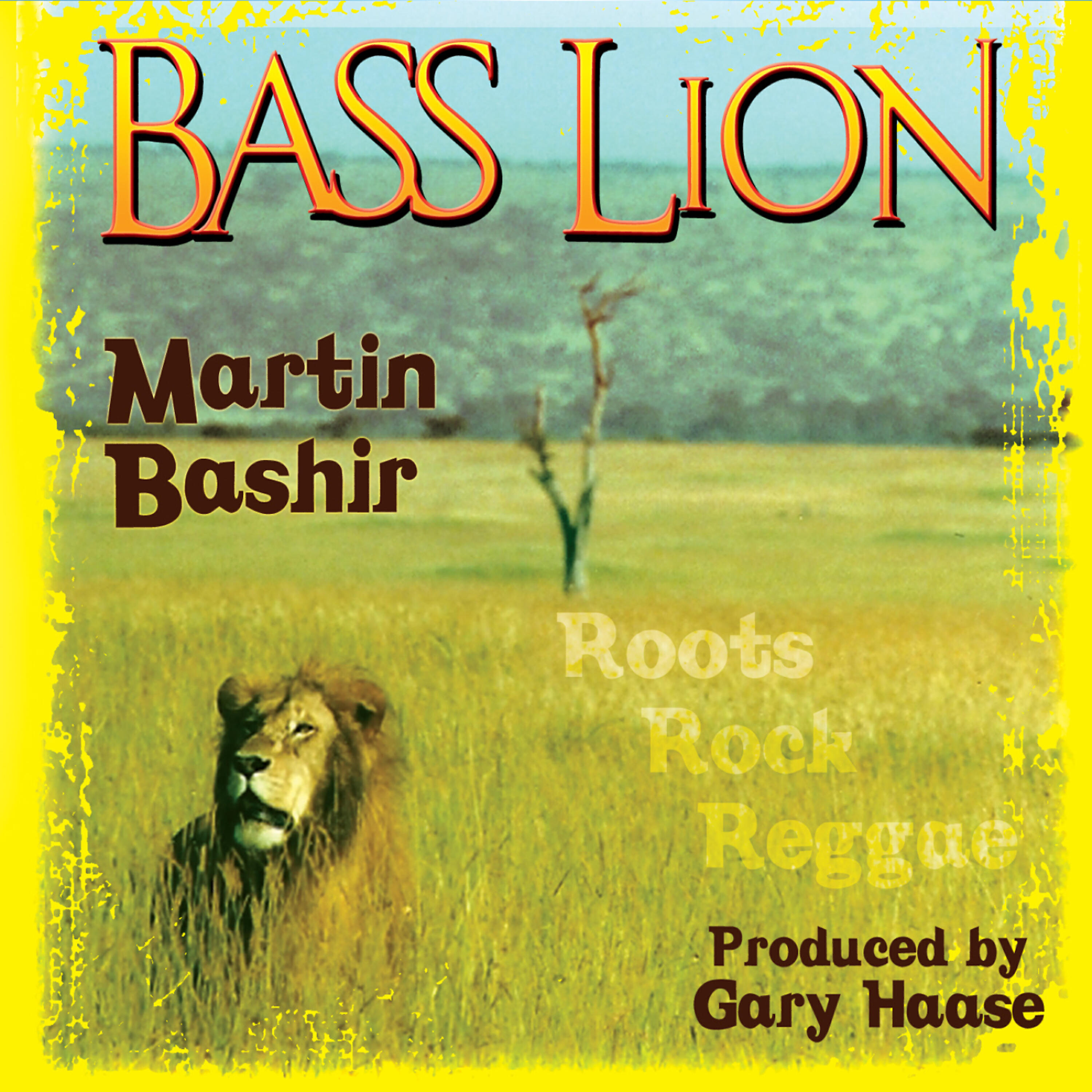 Martin Bashir