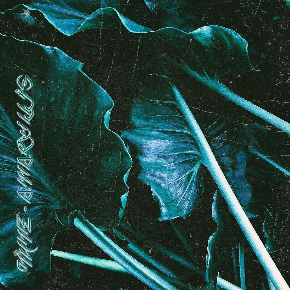 Релиз Amaryllis