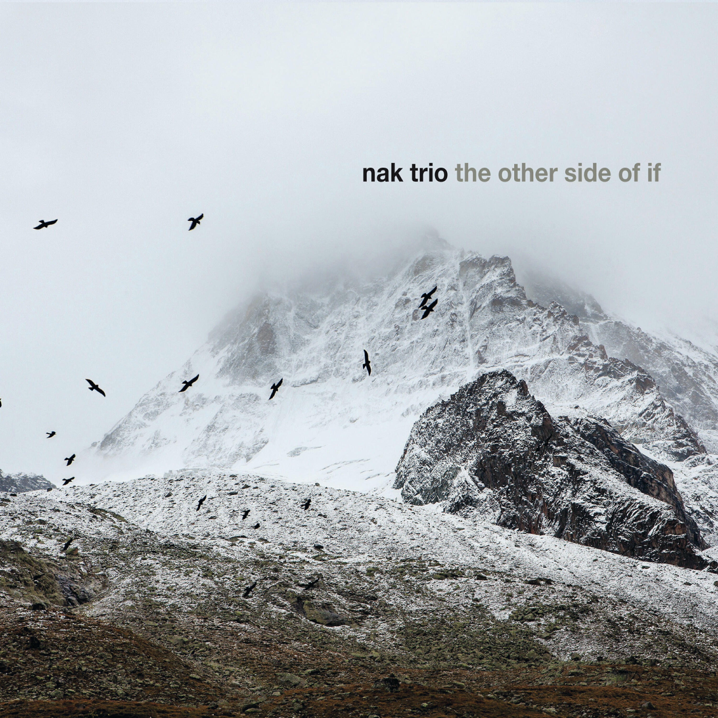 Релиз The Other Side of If