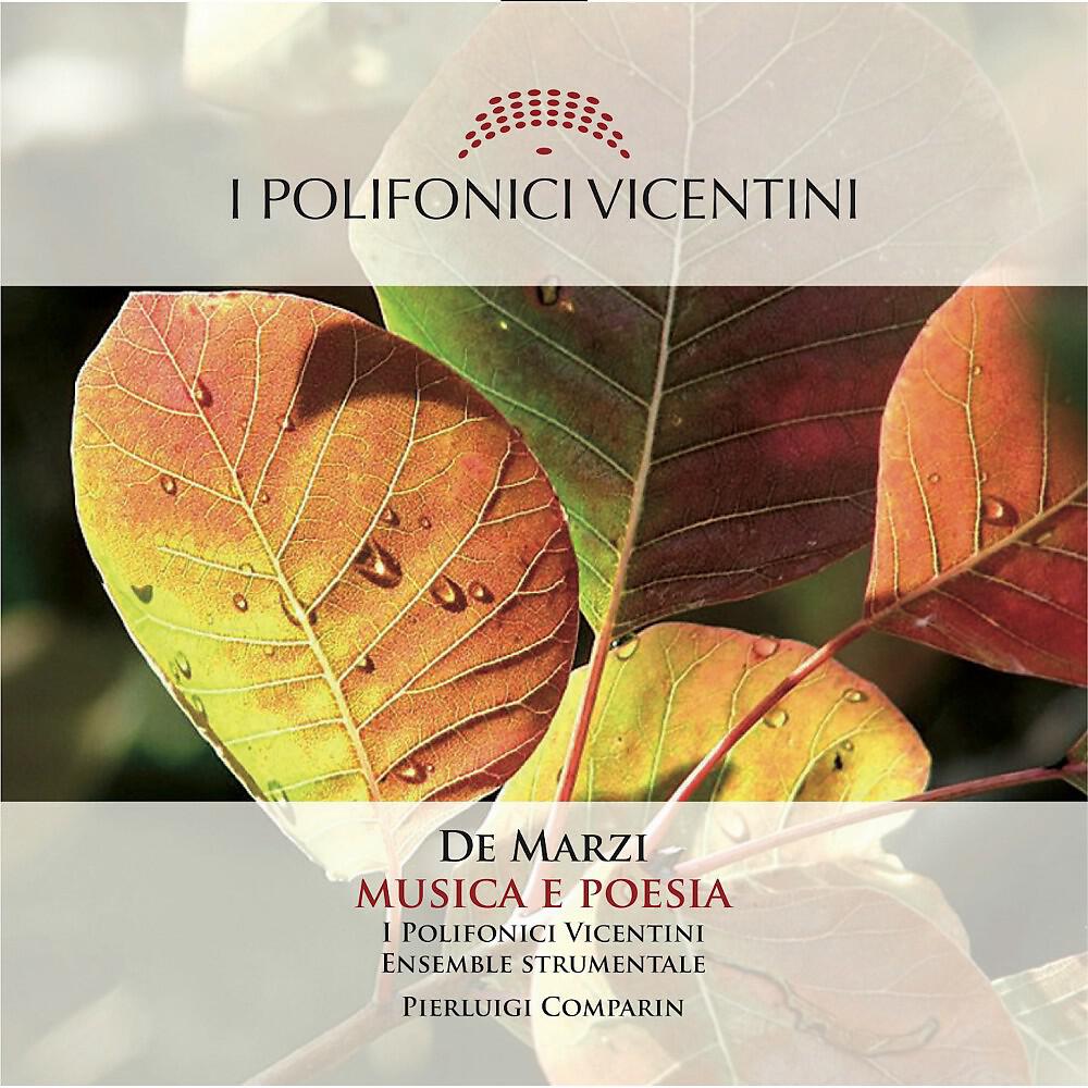 Релиз Musica e Poesia: La musica di Bepi De Marzi per coro e orchestra