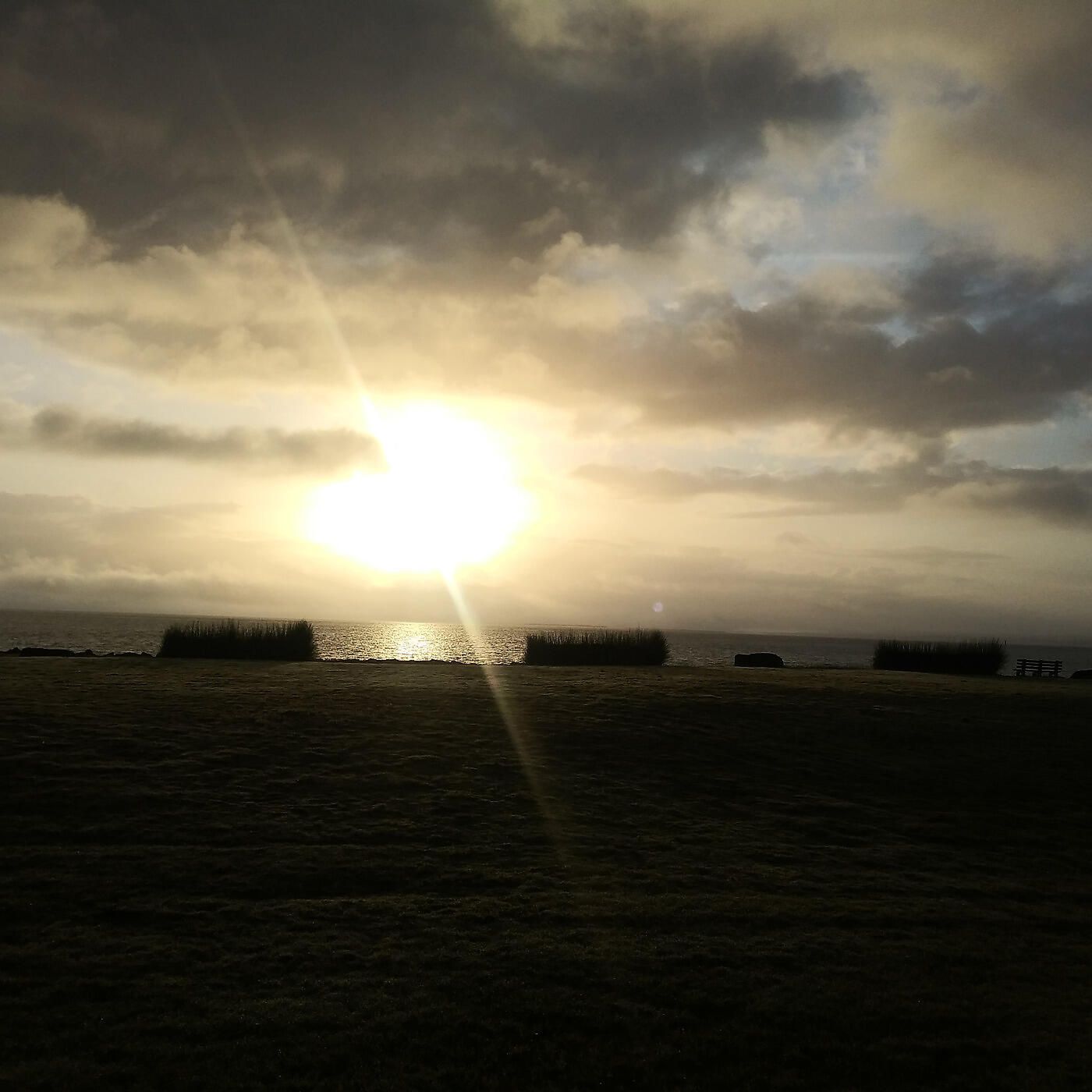 Релиз The Ocean Shores Collection, Vol. 1