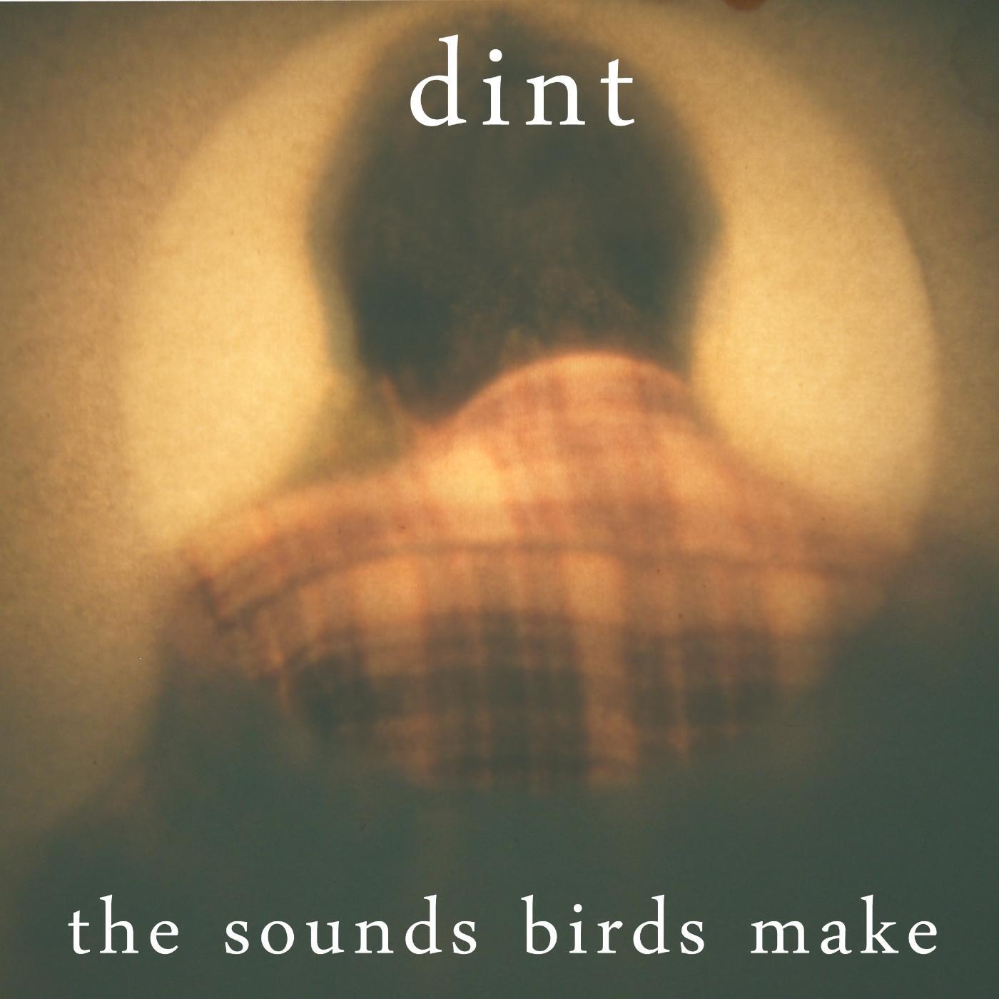Релиз The Sounds Birds Make