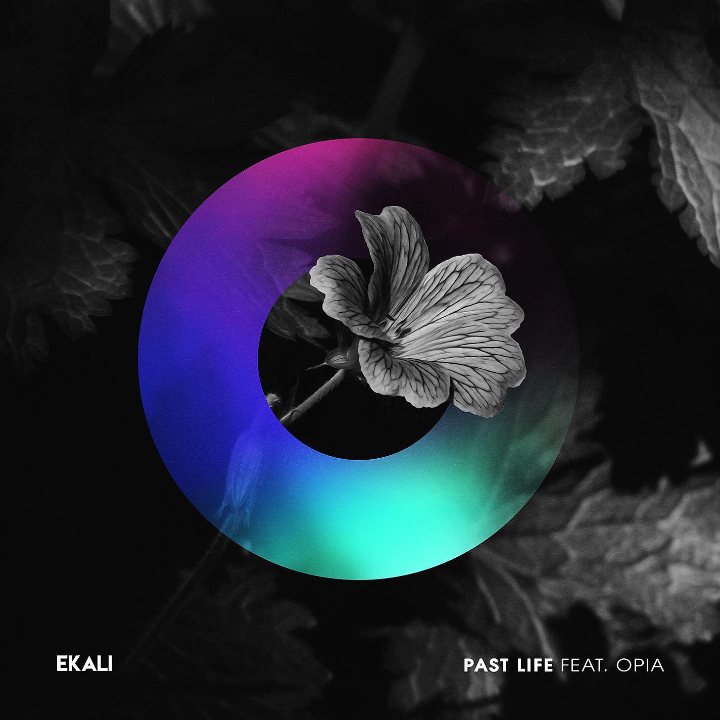 Скачать песню Ekali, Opia - Past Life (feat. Opia) бесплатно в MP3 для Android и iOS