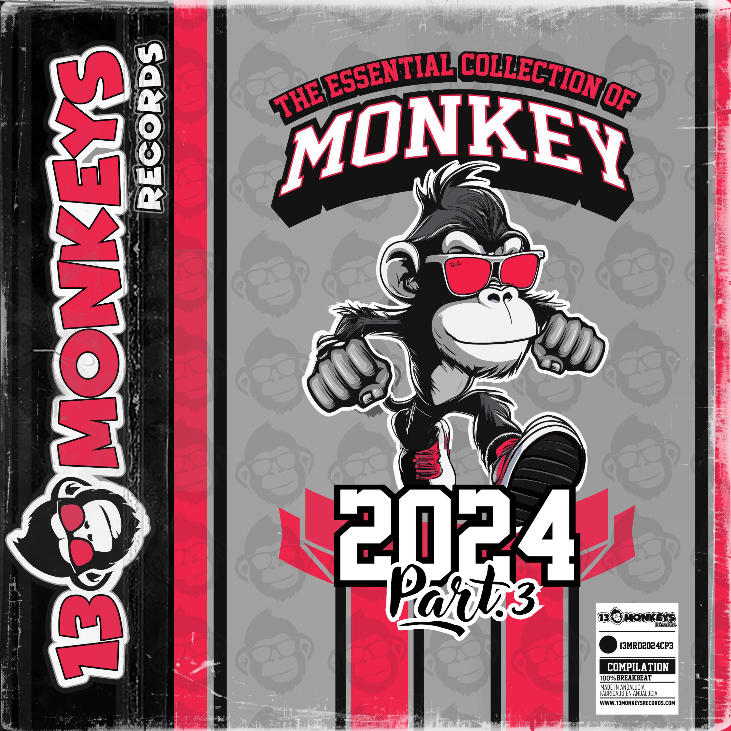 Релиз The Essential Collection Of Monkey 2024 - Part.3