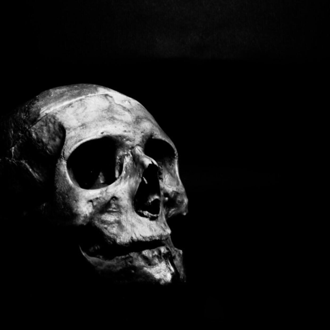 Постер альбома DARK