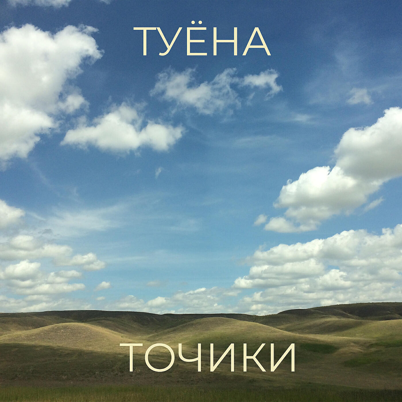 Постер альбома Туёна