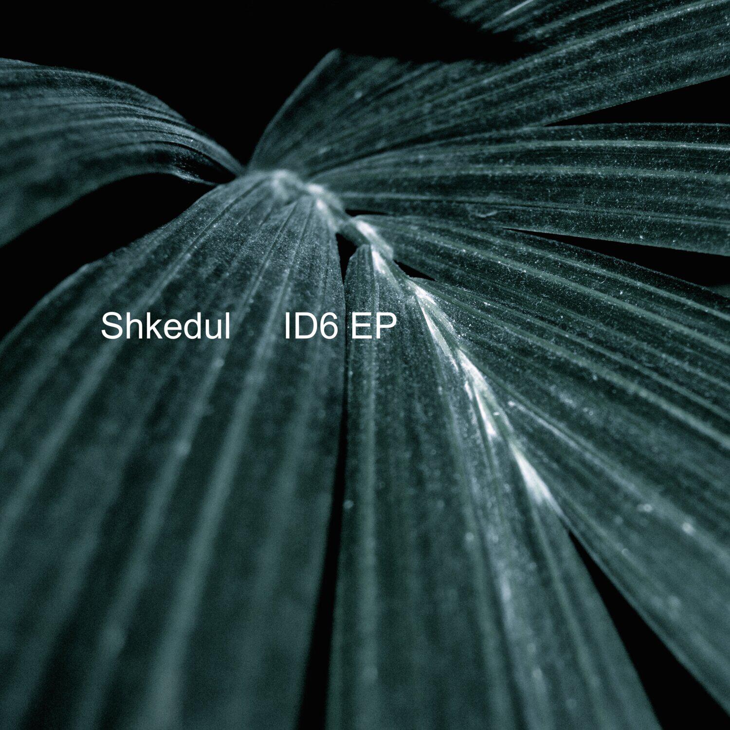 Релиз ID6