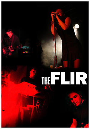 The Flir
