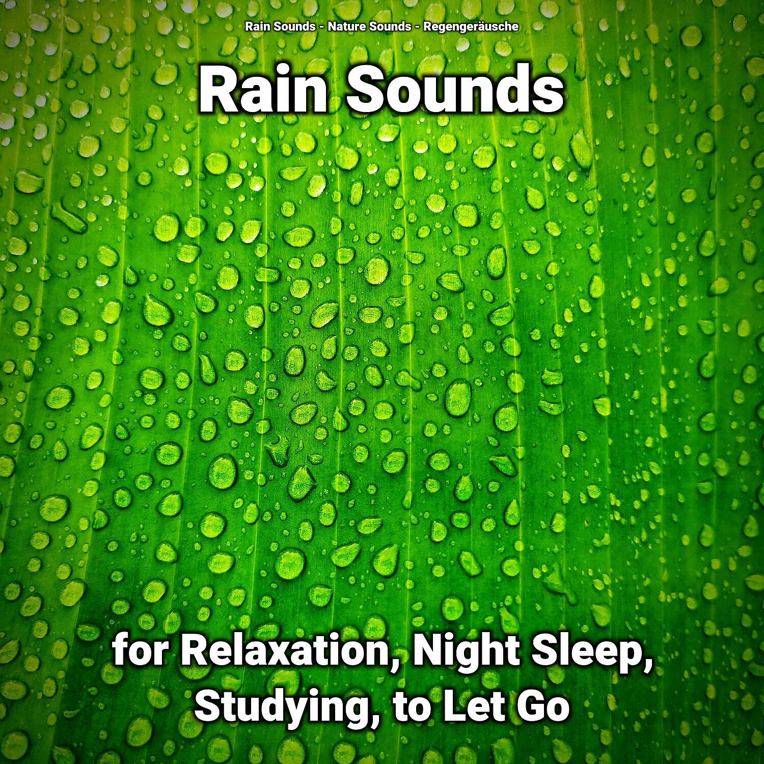 Релиз Rain Sounds for Relaxation, Night Sleep, Studying, to Let Go