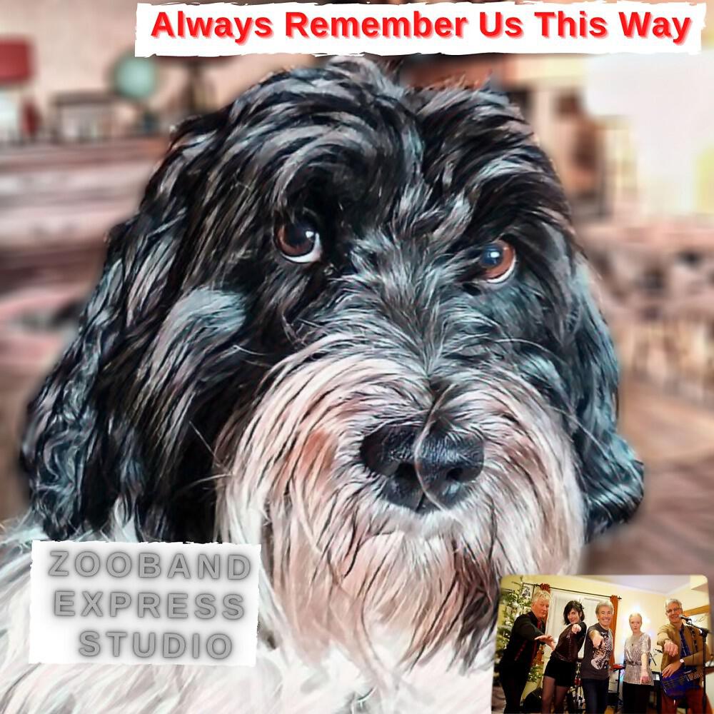 Постер альбома Always Remember Us This Way