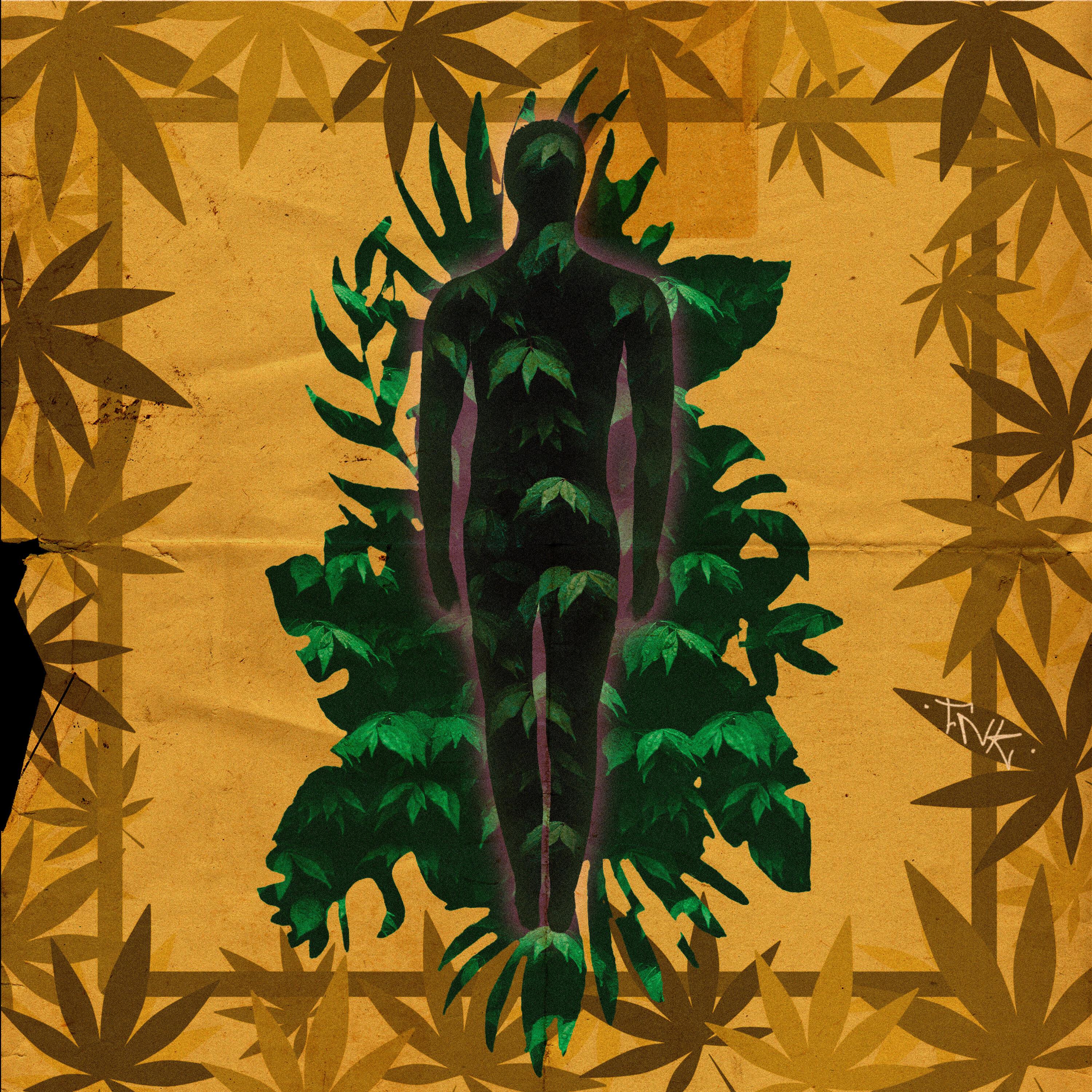 Релиз Flores