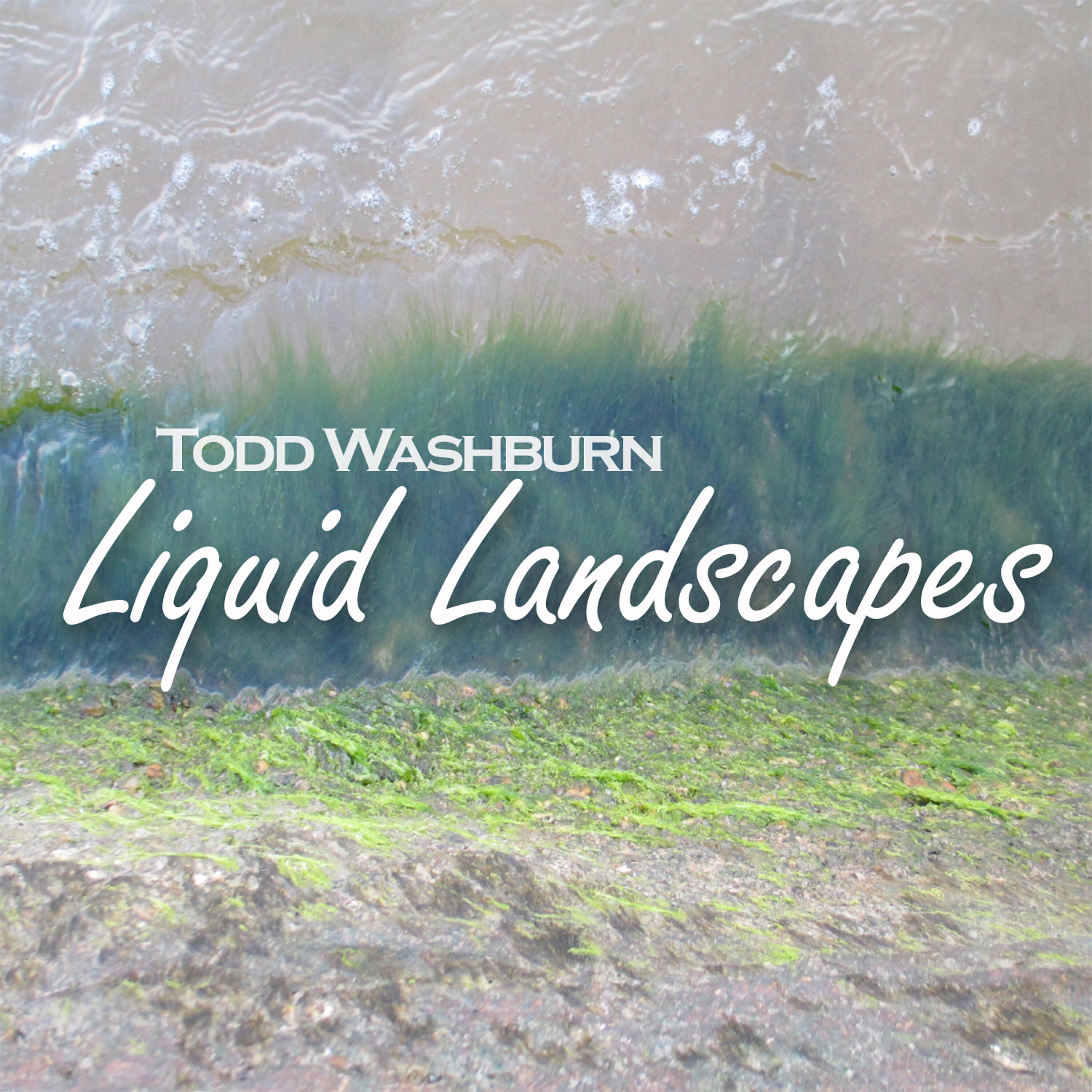 Релиз Liquid Landscapes