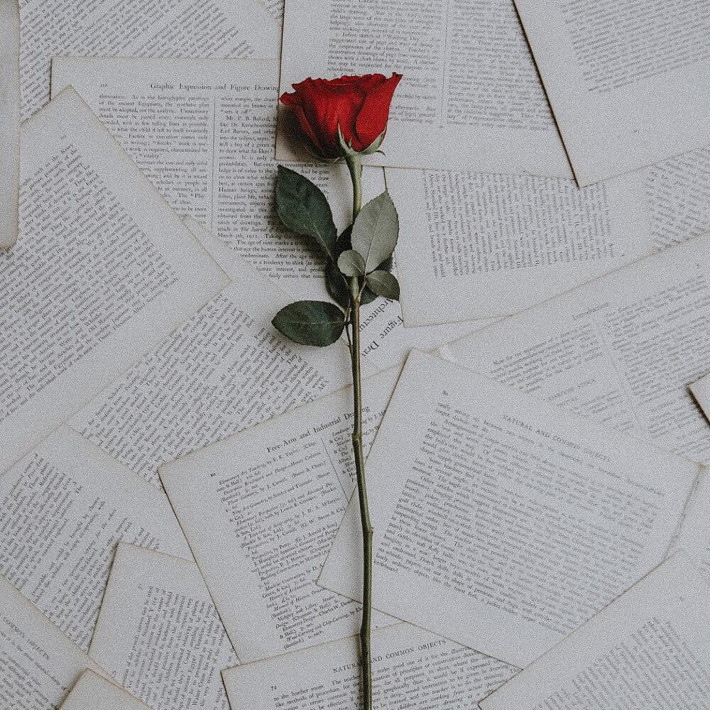Релиз Rosen