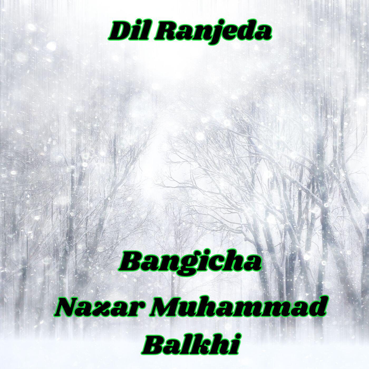 Релиз Dil Ranjeda