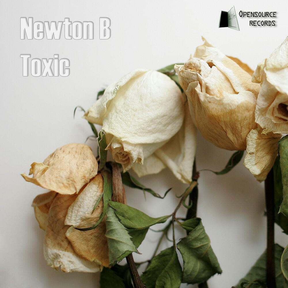Релиз Toxic